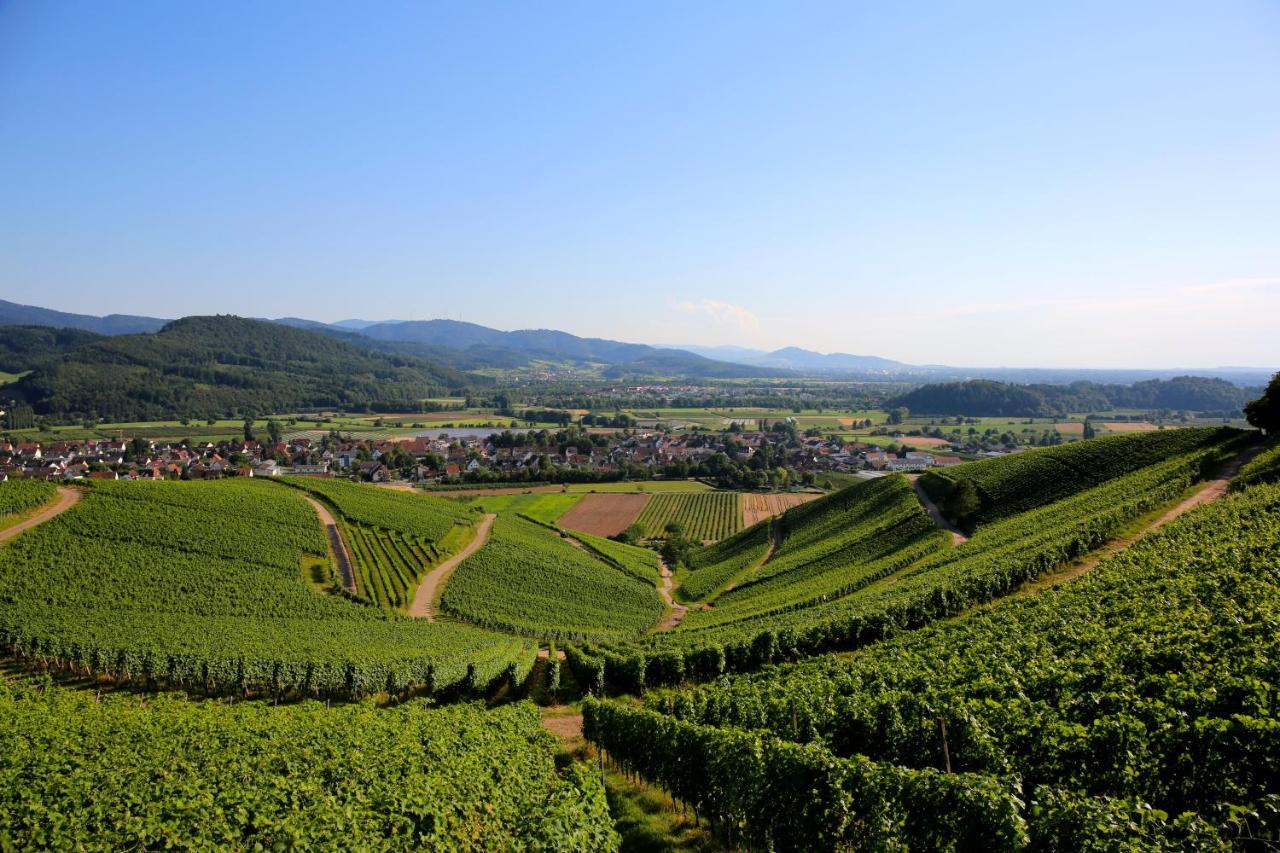 Annas Stube - Boutique Design Bauernhof Villa Waldkirch Kültér fotó
